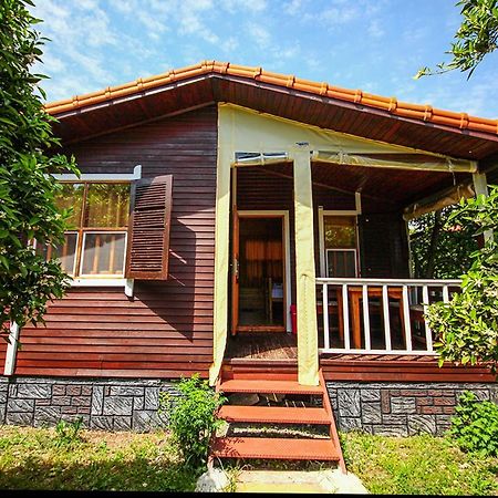 Three Islands Bungalow Cirali Exterior photo