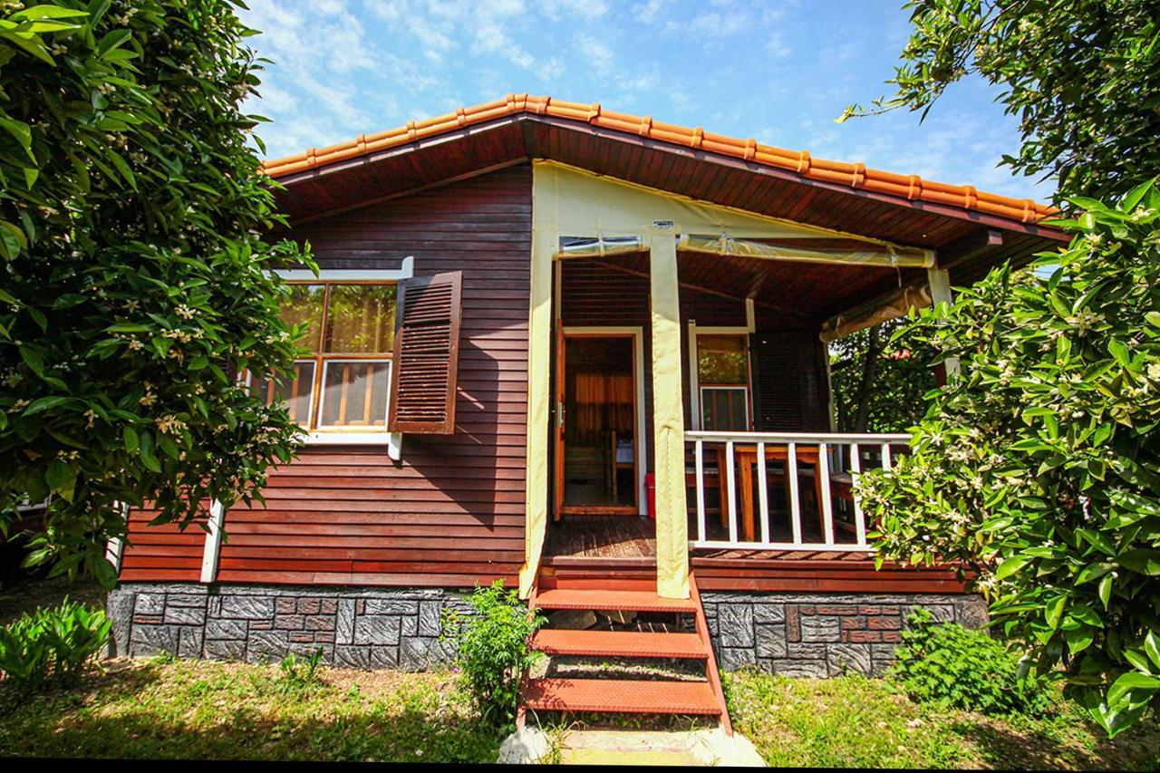 Three Islands Bungalow Cirali Exterior photo