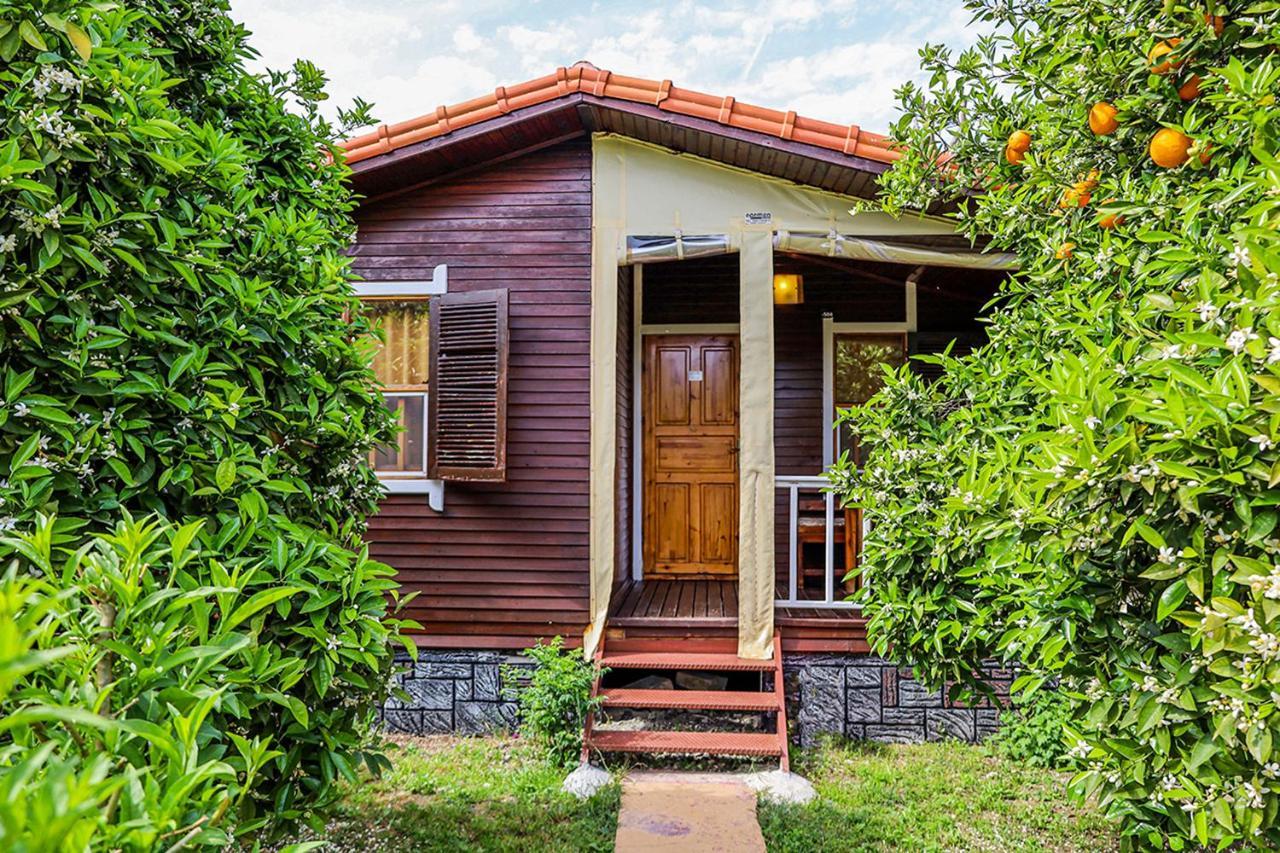 Three Islands Bungalow Cirali Exterior photo