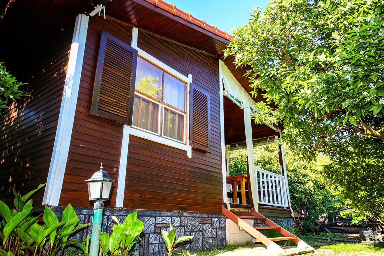 Three Islands Bungalow Cirali Exterior photo